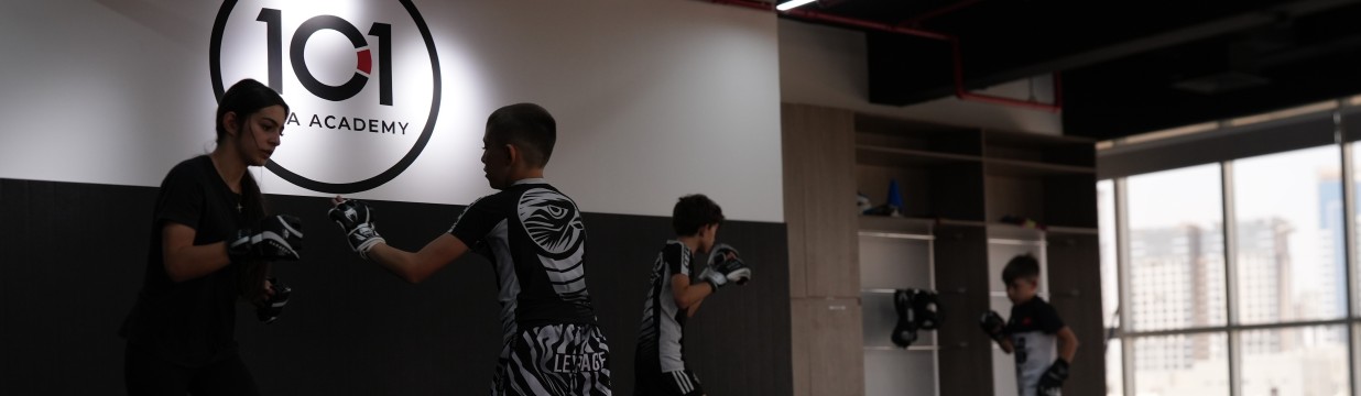 Main image of 101 MMA Academy