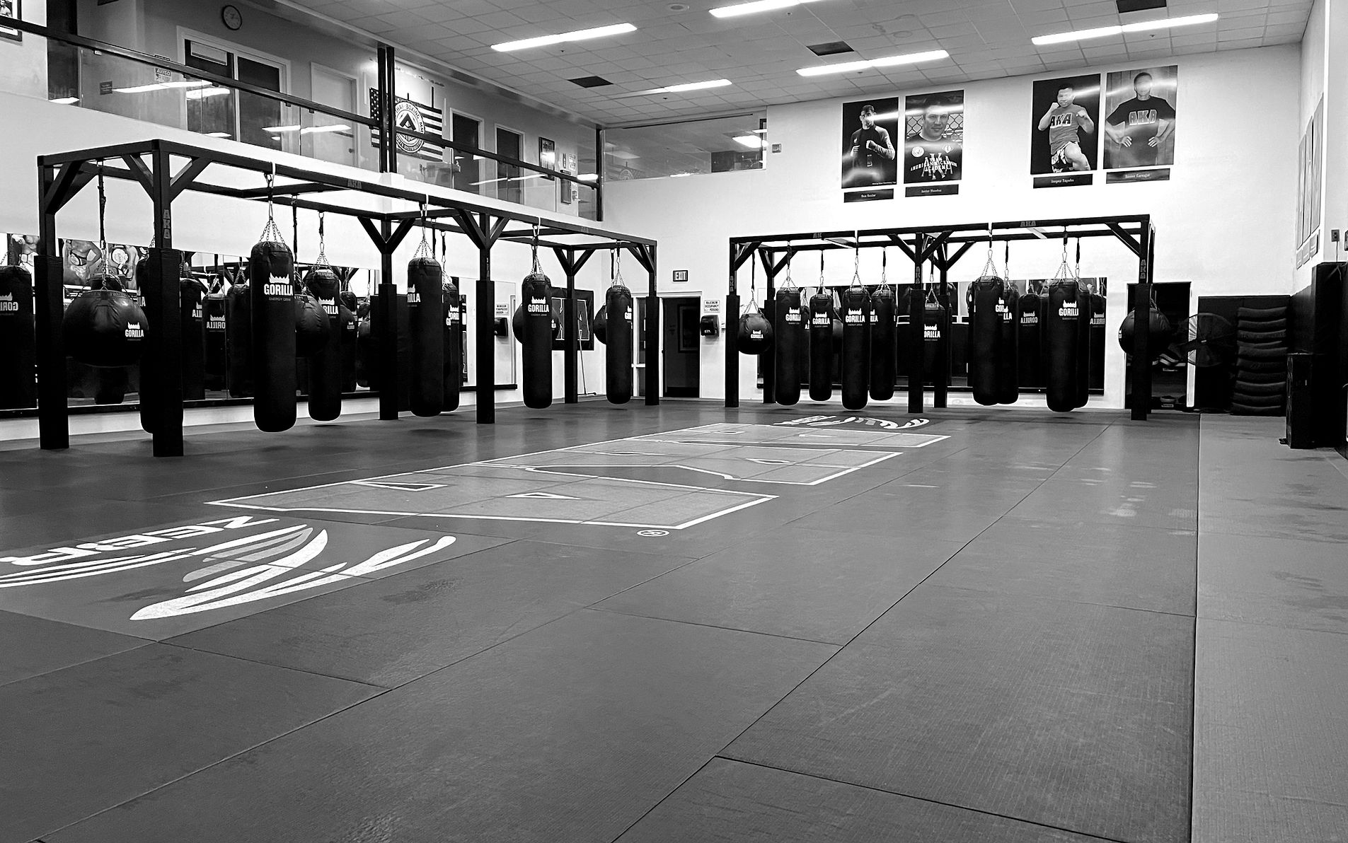 American Kickboxing Academy (AKA) academy photo
