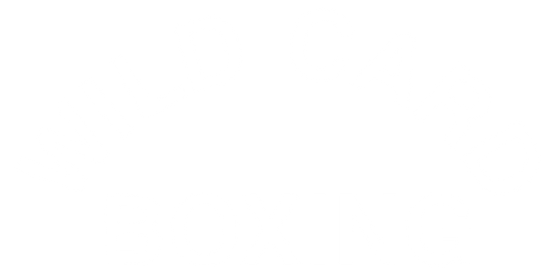 Wild Card Boxing Club