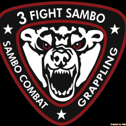 Main image of 3 FIGHT SAMBO
