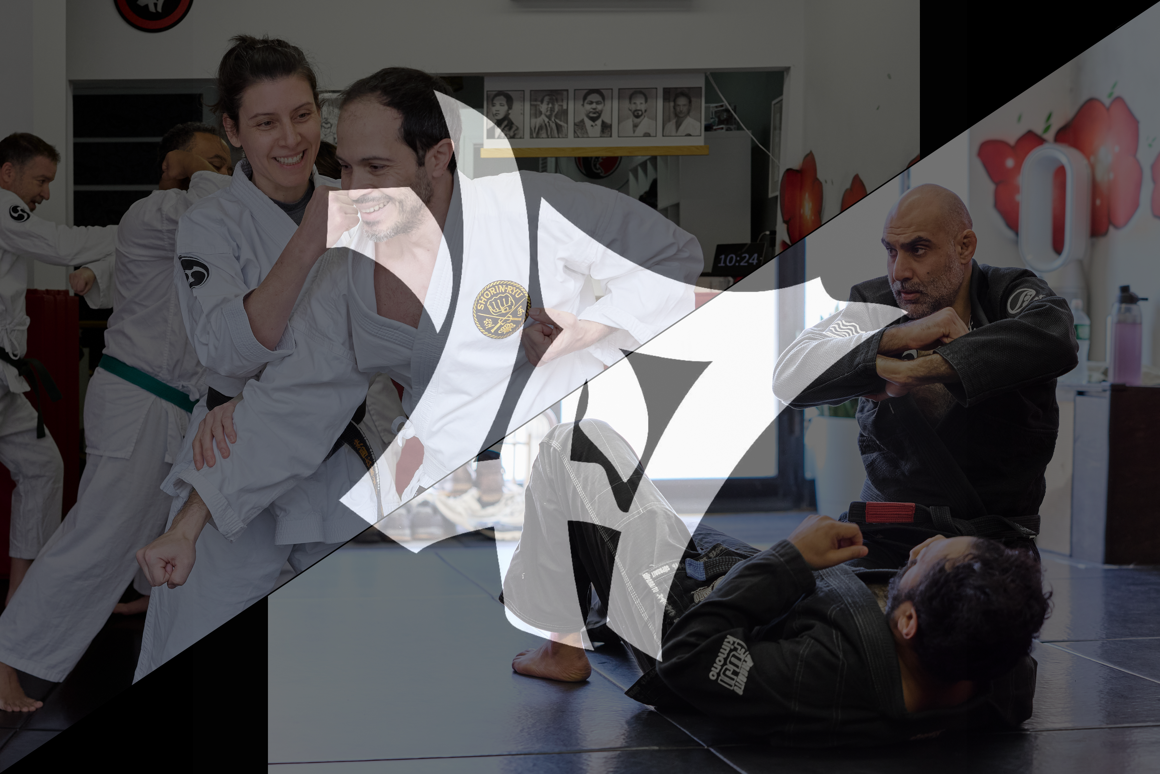 Main image of 47 BJJ Coop