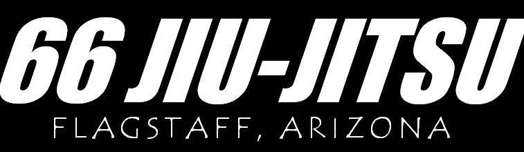 Main image of 66 JIU-JITSU