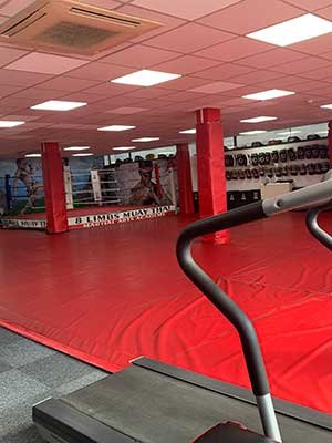 8 Limbs Muay Thai Martial Arts Academy academy photo