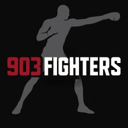 Main image of 903Fighters