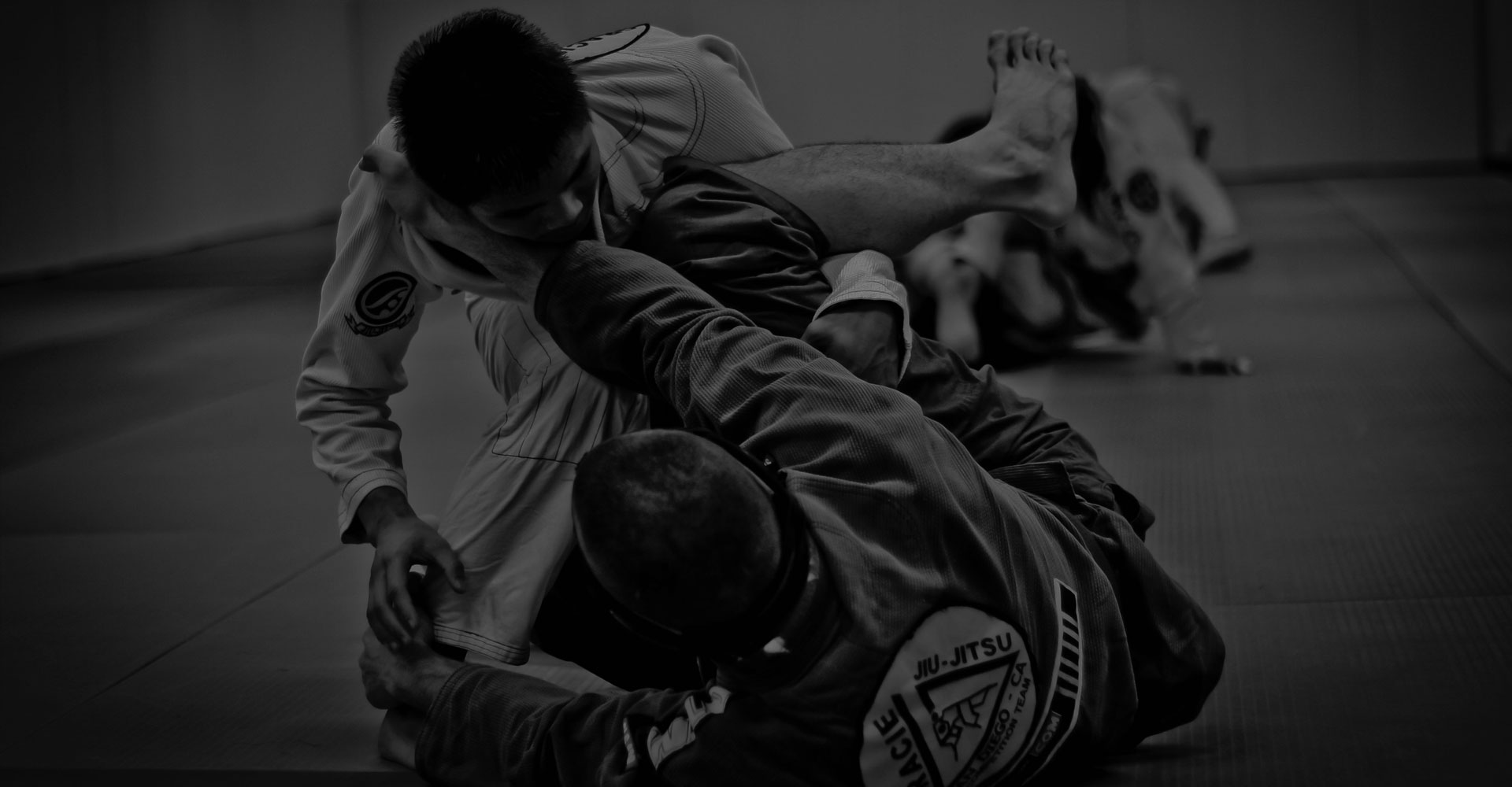 Evolution MMA