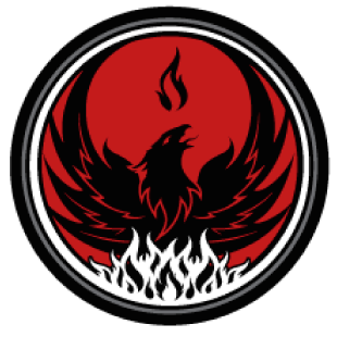 Rise Mixed Martial Arts