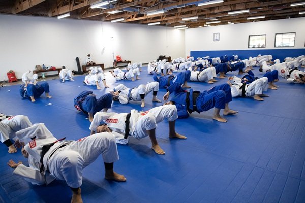 Gracie Barra Tijeras
