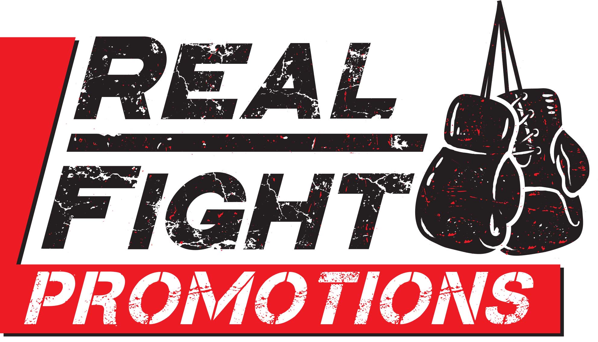 Real Fight Promotion academy photo