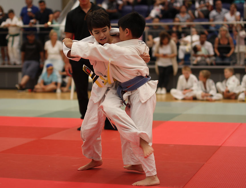 Main image of Australian Institute of Judo