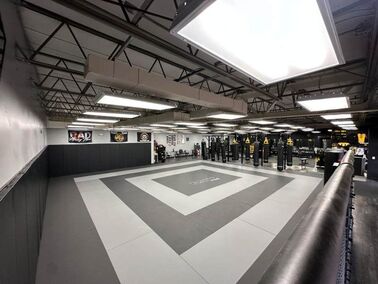 Rad Muay Thai Fitness & Brazilian Jiu Jitsu academy photo