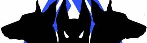 Main image of Cerberus Brazilian Jiu-Jitsu