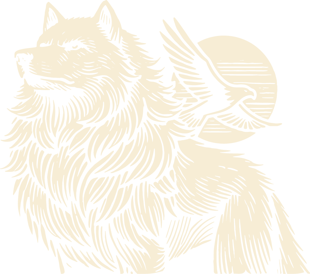 Romulus Jiu Jitsu
