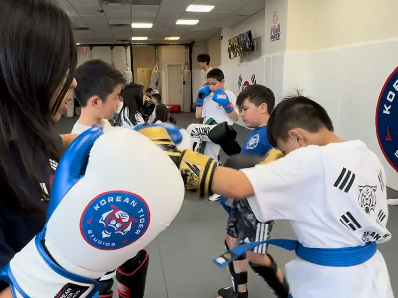 Korean Tiger Studios academy photo