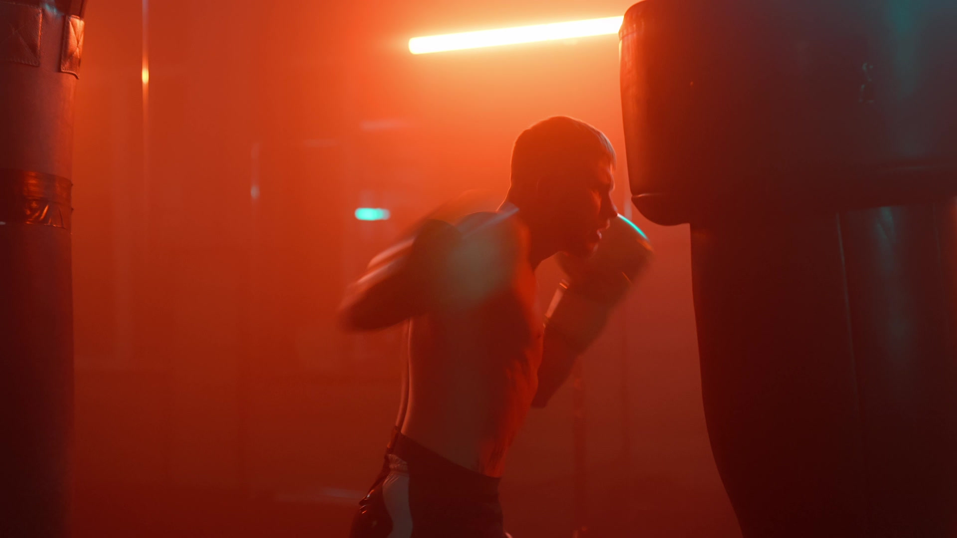 SHOCK BOXING GYM academy photo