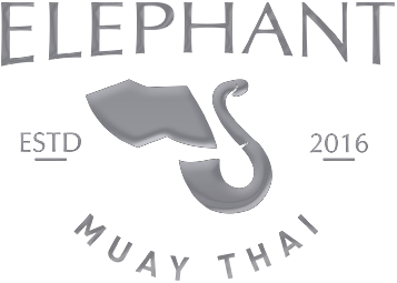 Elephant Muay Thai Gmbh academy photo