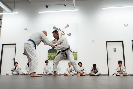 Main image of Academy of Jiu-Jitsu Scottsdale