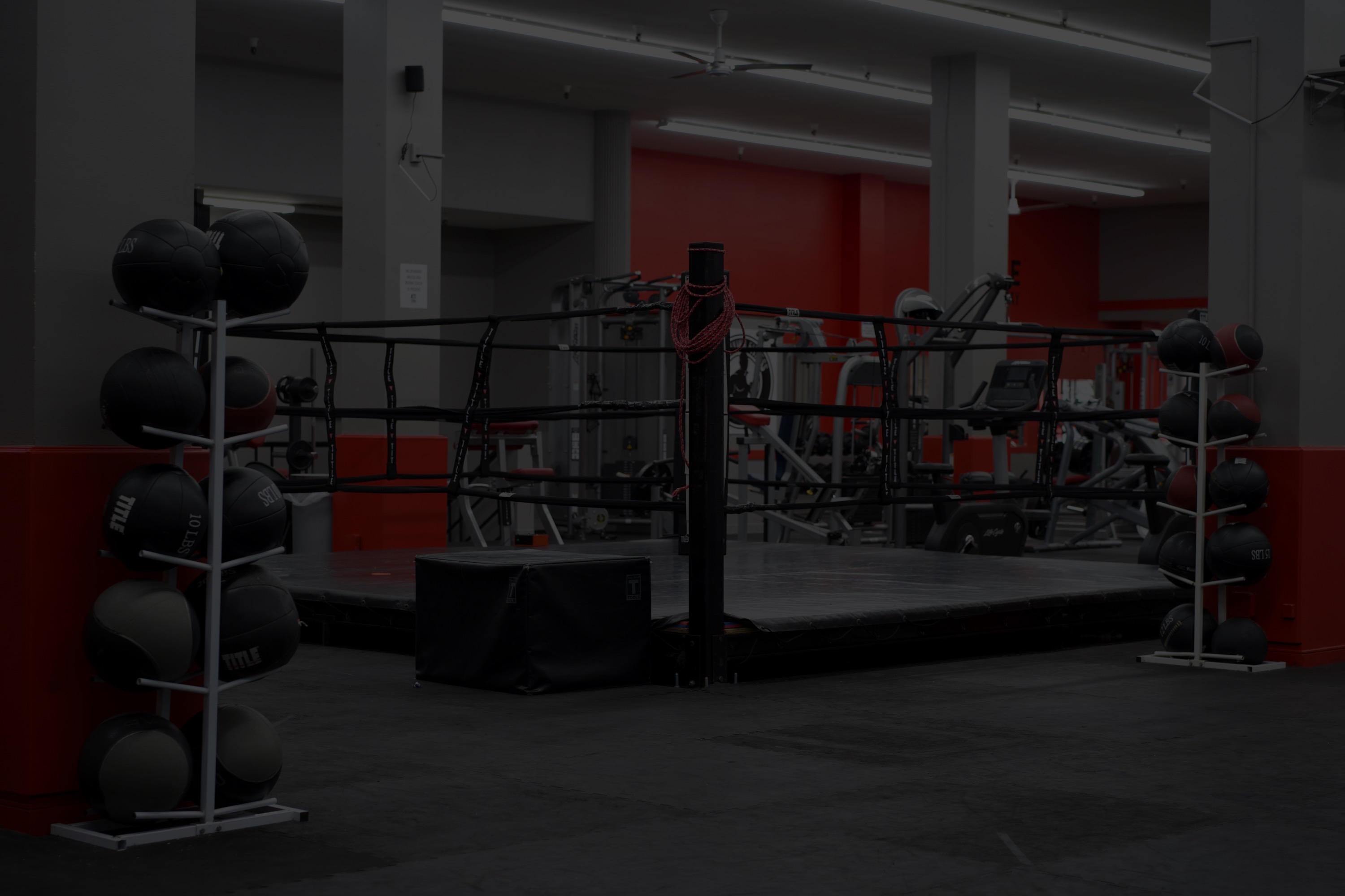 Pro Boxing Fitness & Gym academy image