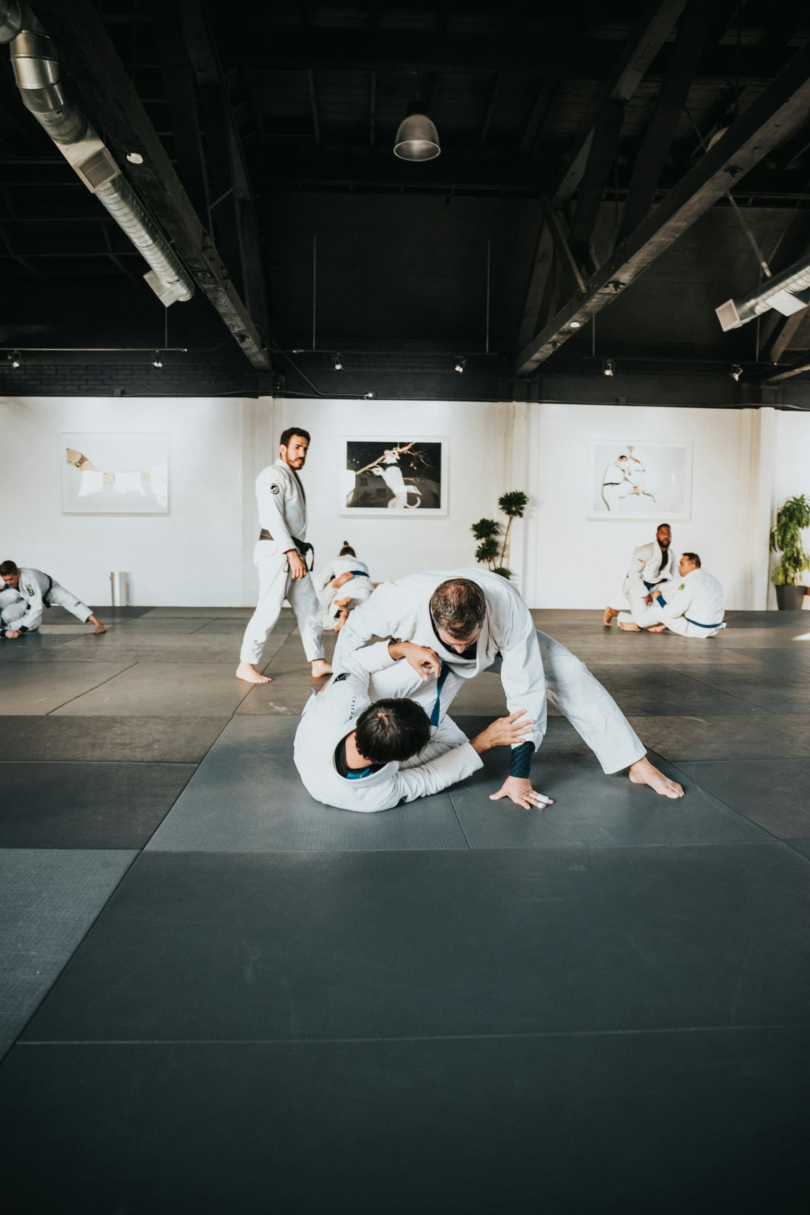 Main image of Ronin Judo Kraków