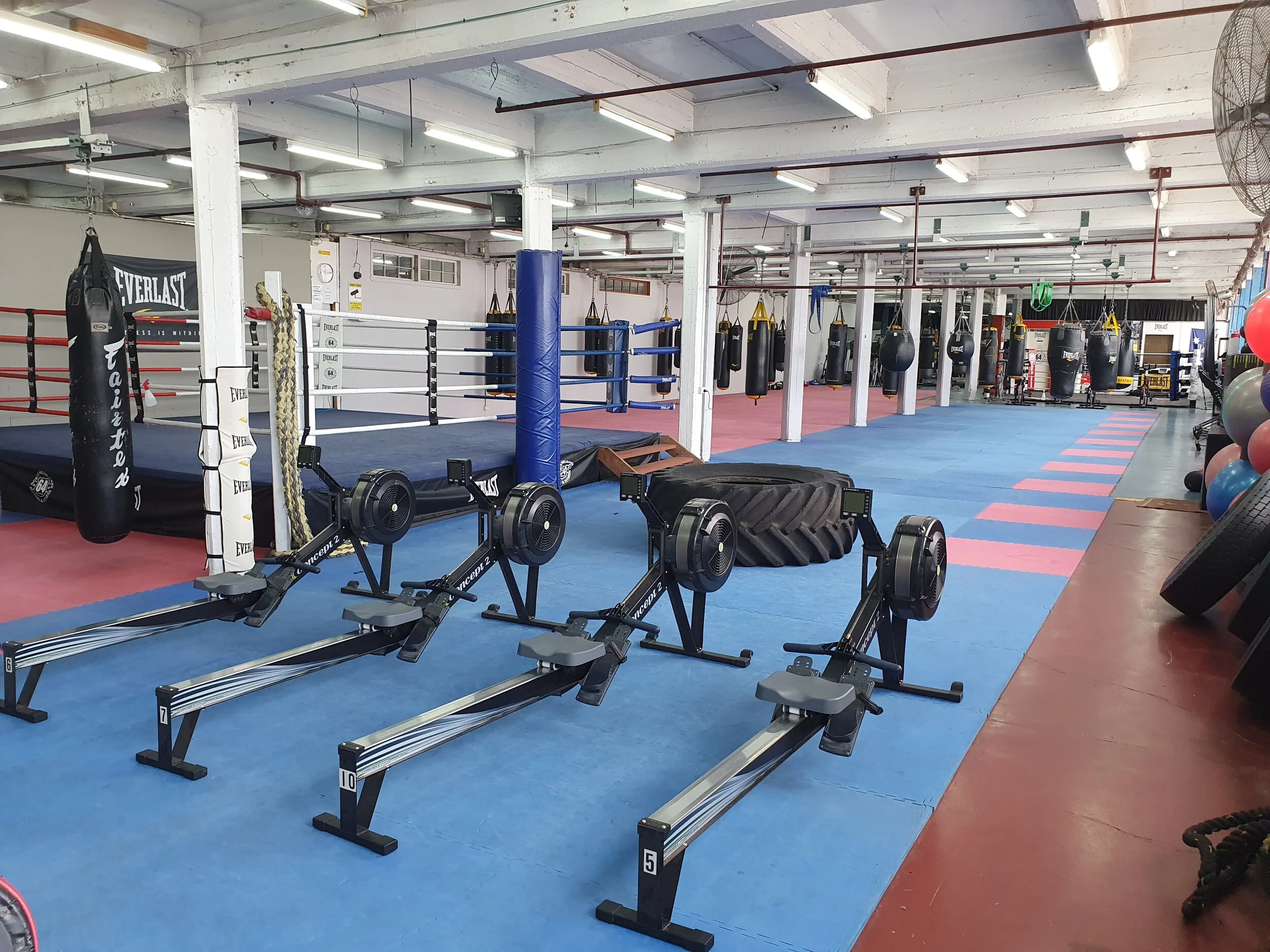 North Melbourne Boxing & Fitness academy photo