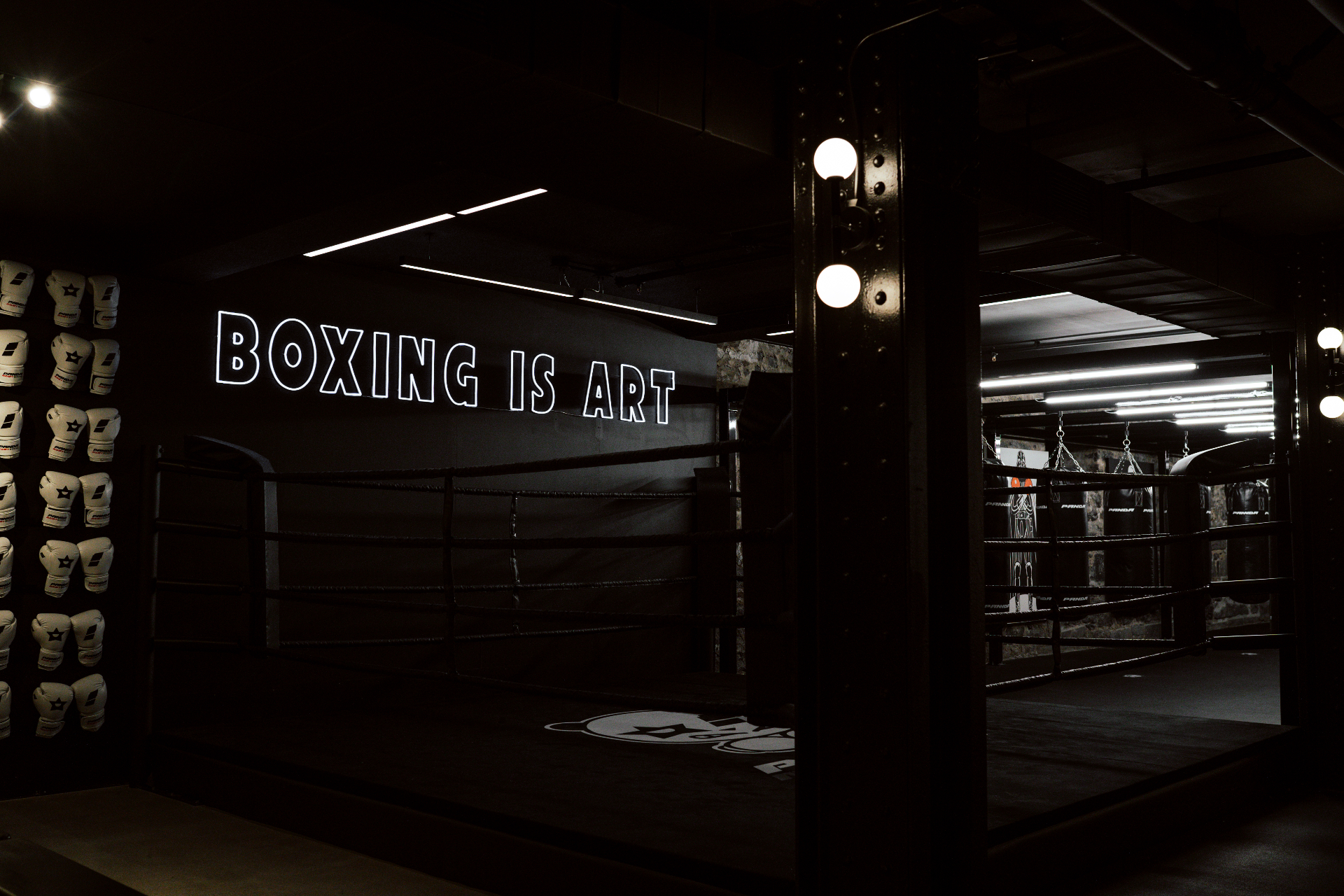 Panda Boxing academy photo