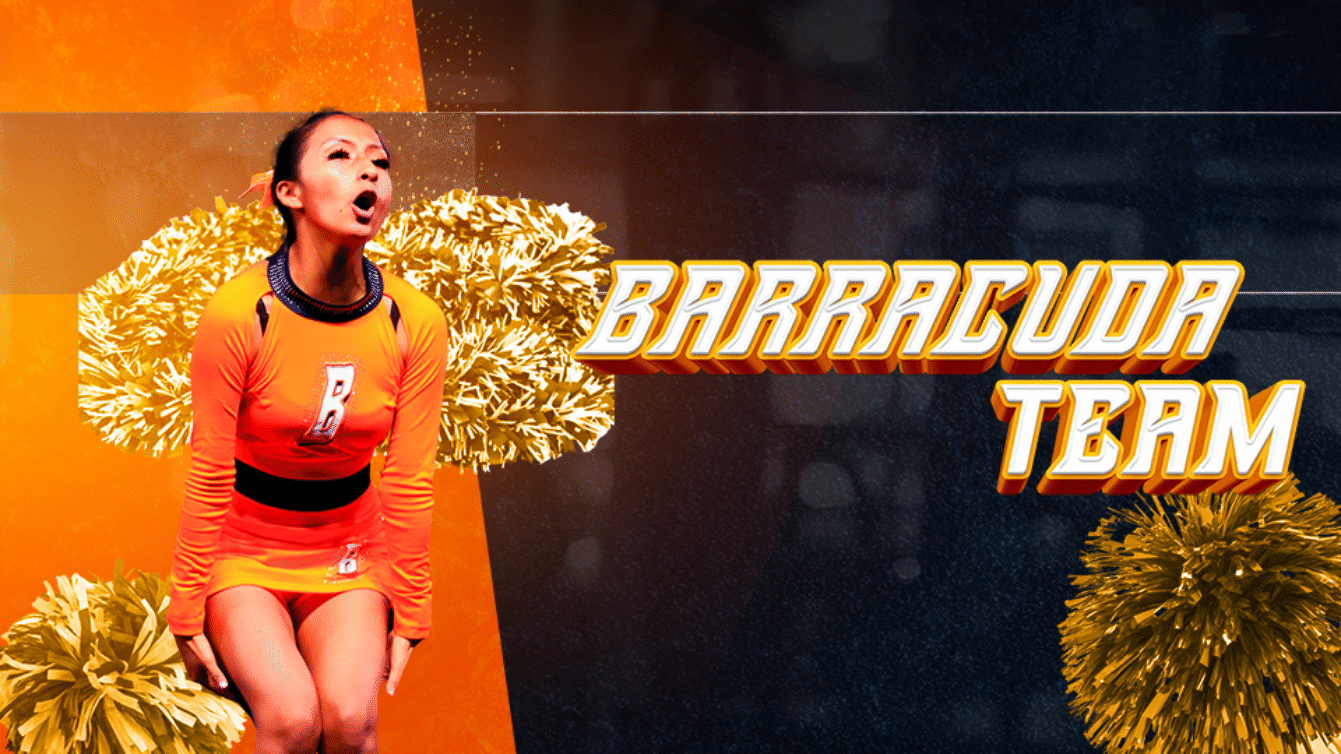 Main image of Barracuda Team