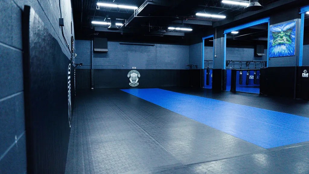 Main image of Elevation Fight Team