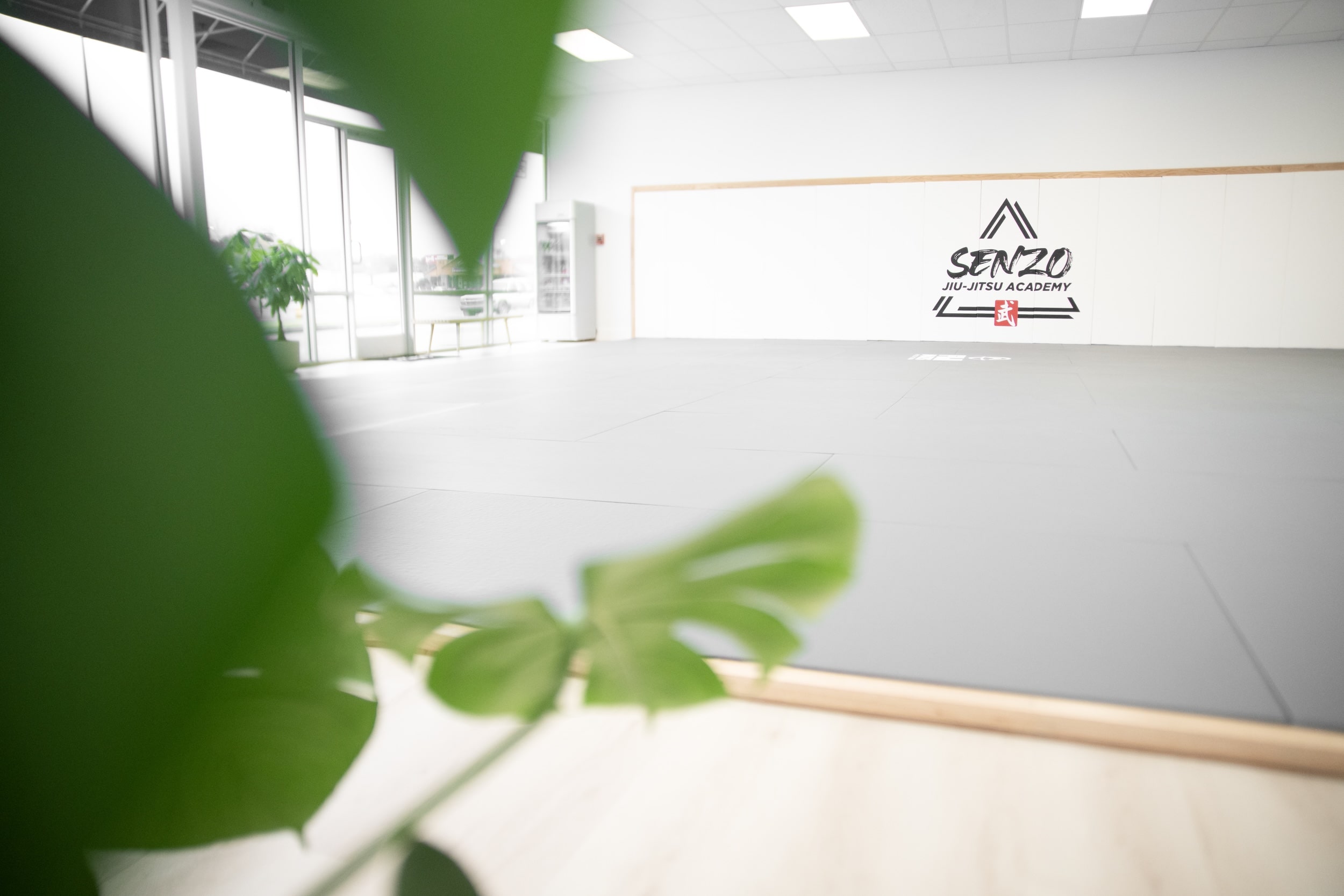 Senzo Jiu-Jitsu Academy