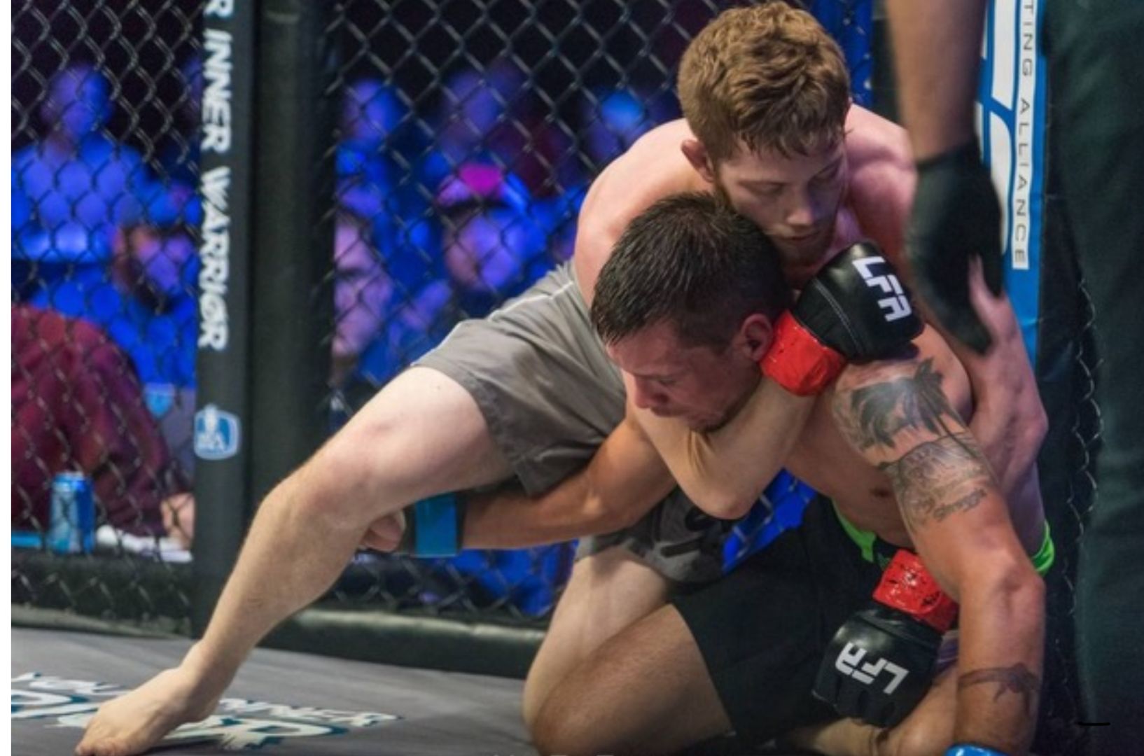 Roots Mixed Martial Arts