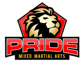 Pride Mixed Martial Arts