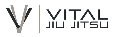 Vital Jiu Jitsu - Srisuk Muay Thai academy photo