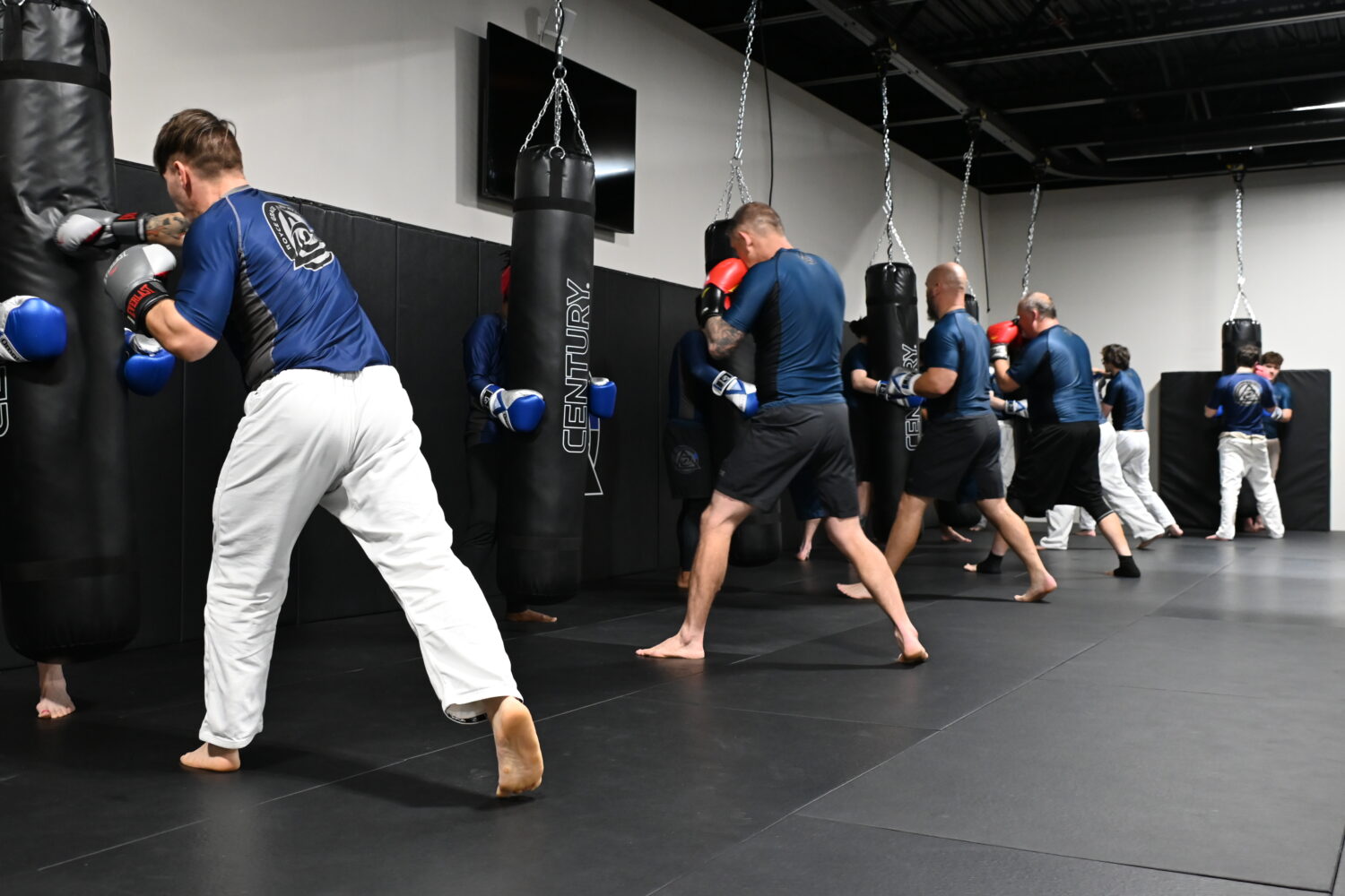 Main image of Royce Gracie Jiu Jitsu Academy