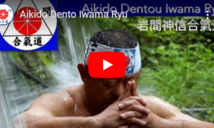 Main image of AIKIDO RANCAGUA , IWAMA RYU