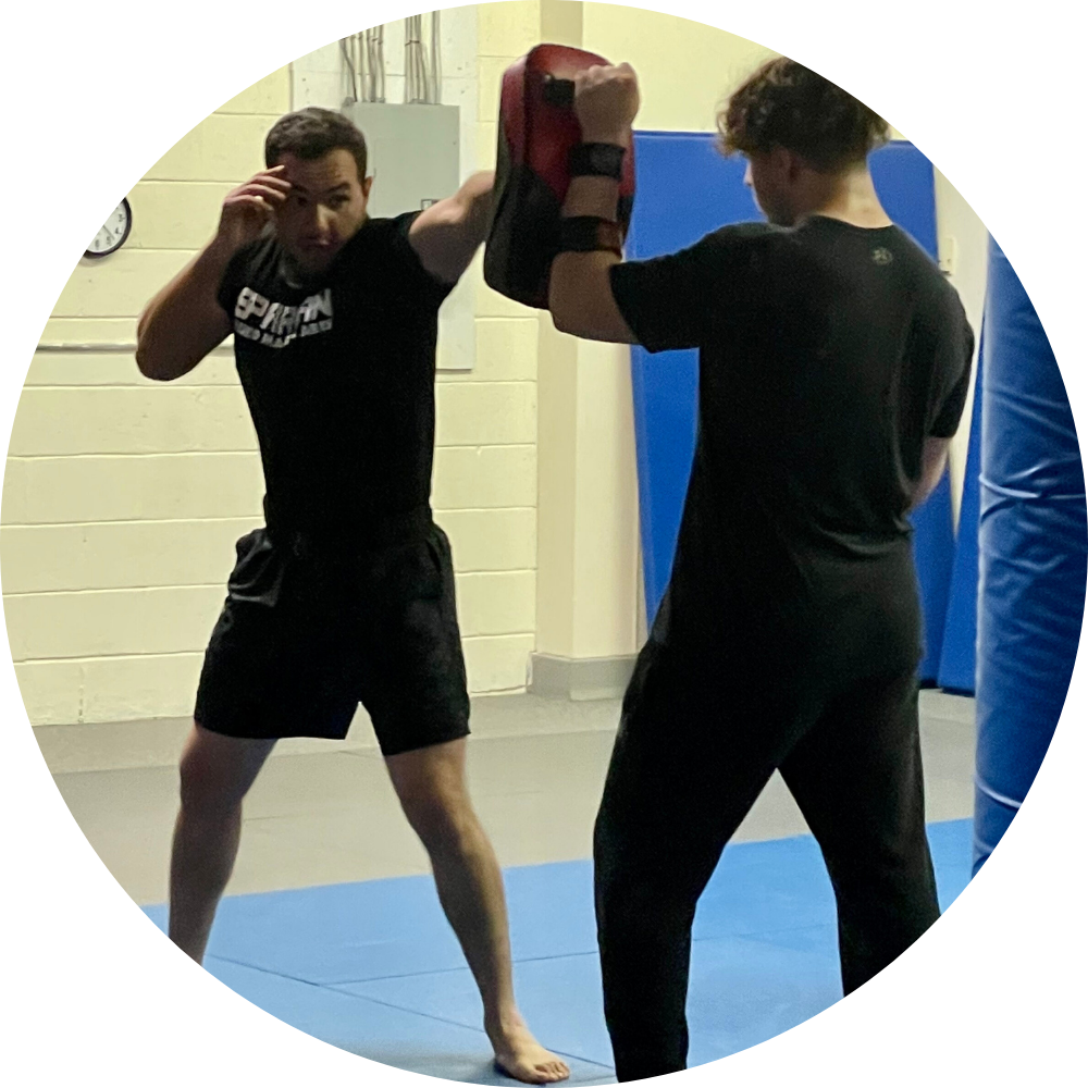 Spartan Mixed Martial Arts | BJJ, Muay Thai Kickboxing academy image