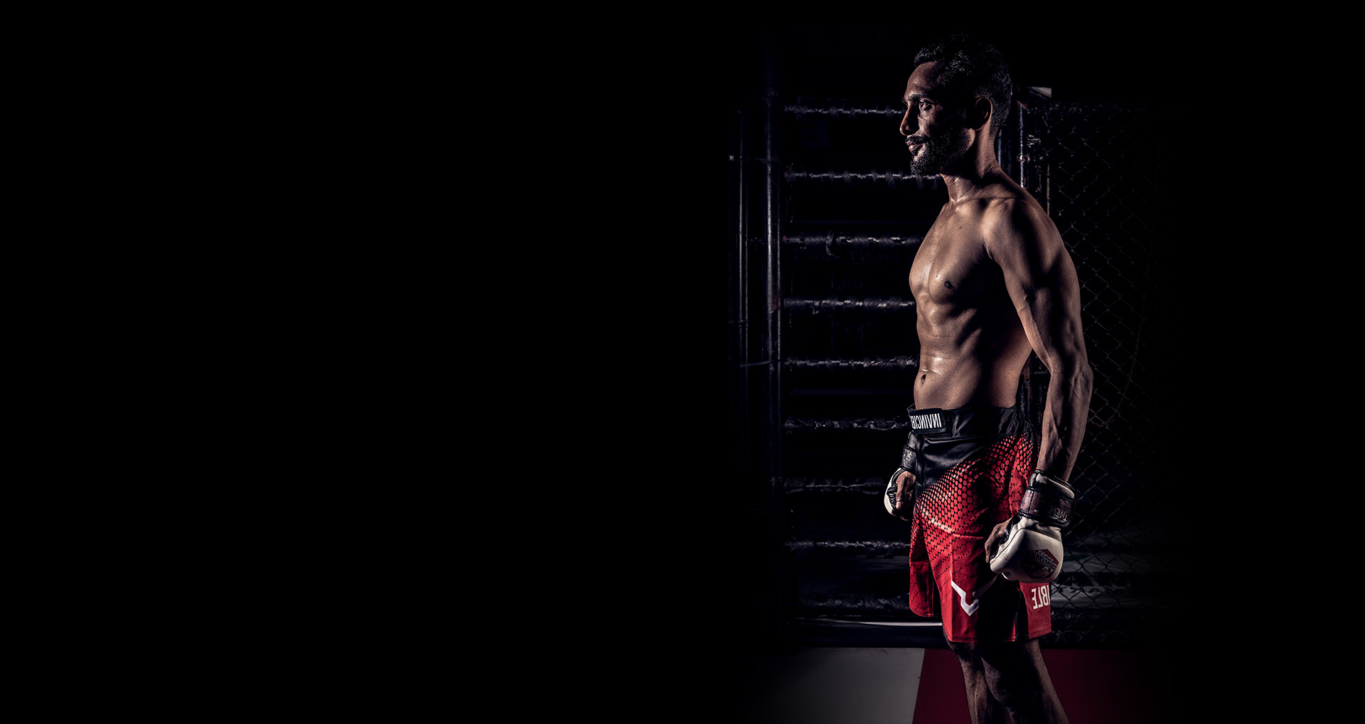 Main image of Fight Elite Mma