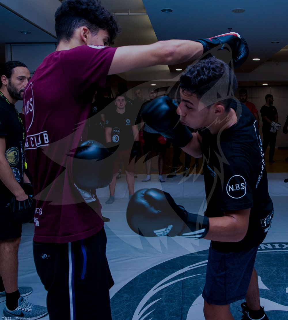 Nbs boxing academy photo