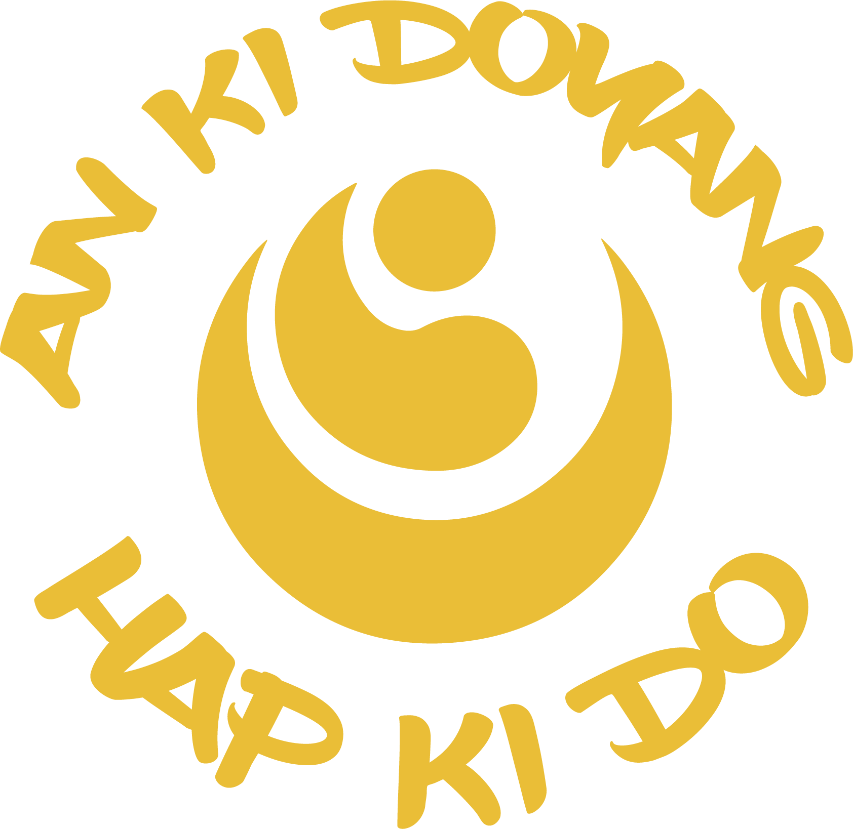 Escuela de Artes Orientales An Ki Doyang(Artes Marciales)