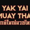 Yak Yai Muay Thai academy photo