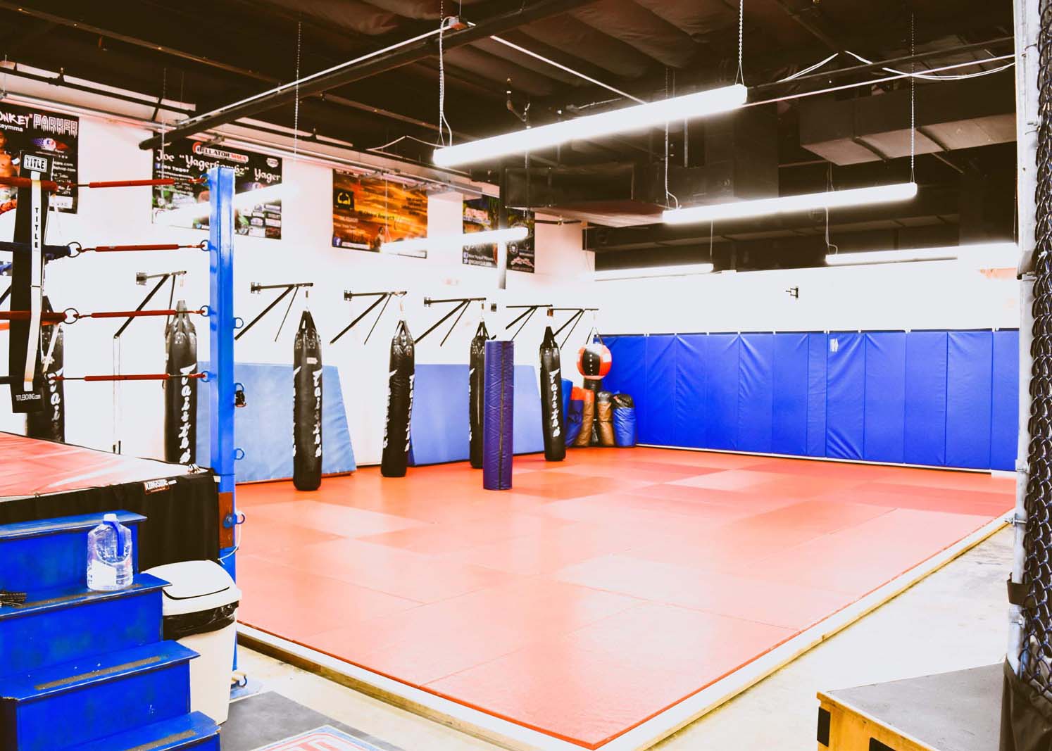 Apex Mixed Martial Arts