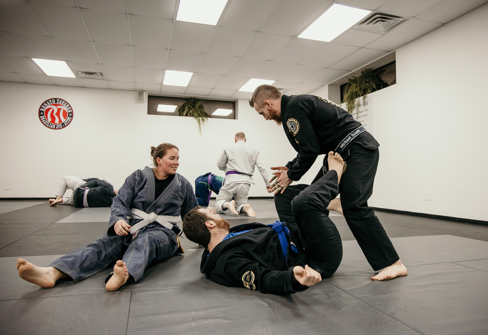 Main image of National Martial Arts