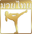 Main image of K.M.M.A. Freestyle Martial Arts Academy