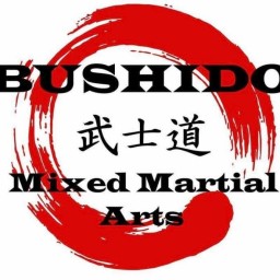 Main image of Bushido Mixed Martial Arts