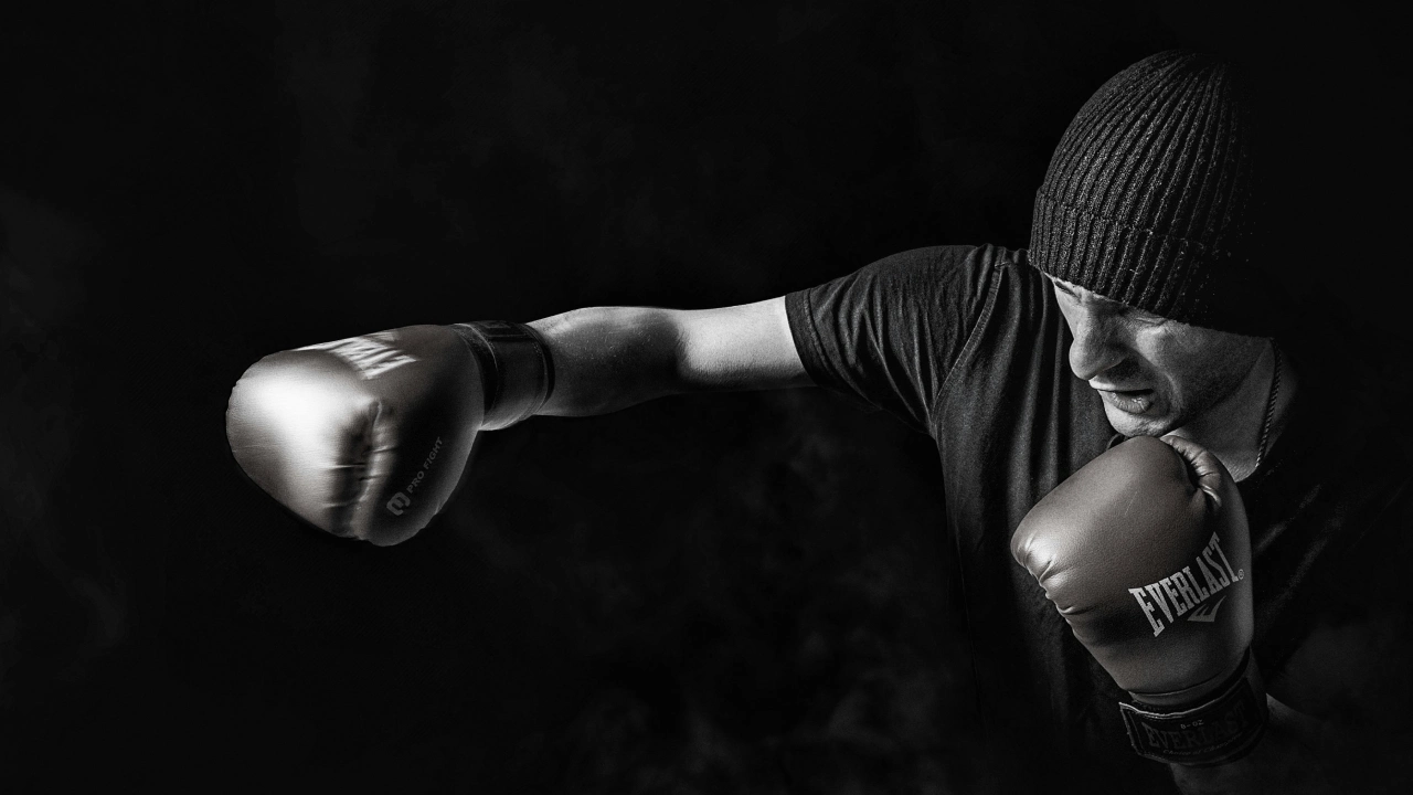 Bellicose Athletics academy image