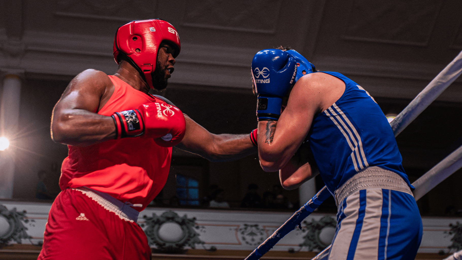 Boxing Australia Tasmania academy image