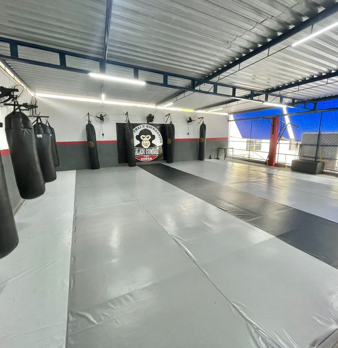 CT Baladi Combat academy photo