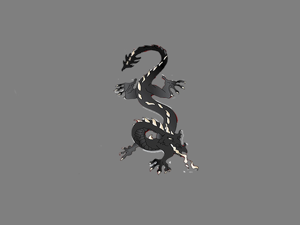Main image of Black Dragon jiu jitsu