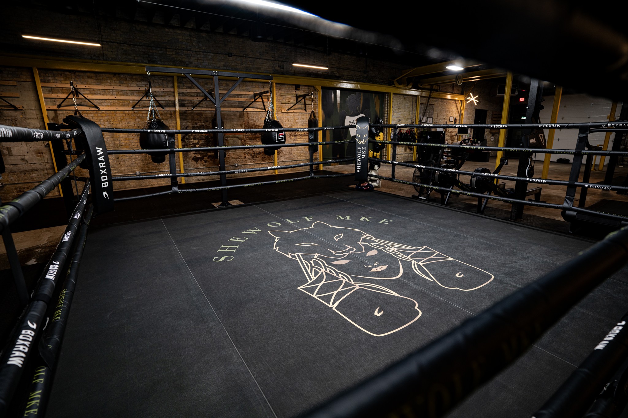 SheWolf MKE | Women’s Boxing & Fitness academy photo