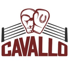 까발로복싱짐(Cavallo Boxing Gym) academy photo