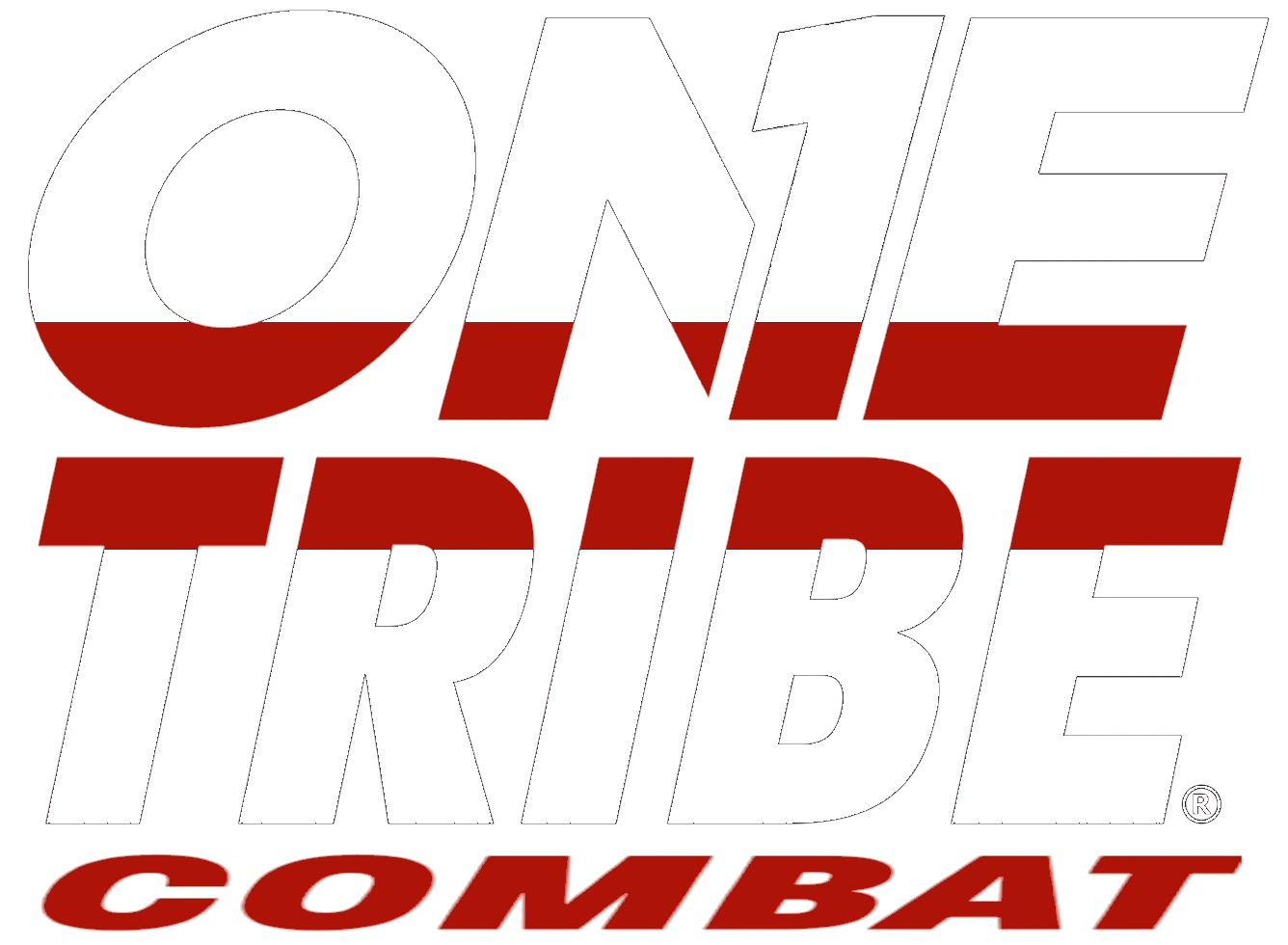 One Tribe Combat Training Collective