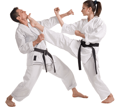 Main image of Martial Art Academy Of India