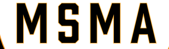 Minnesota School of Martial Arts